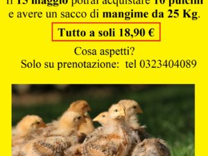 Promozioni